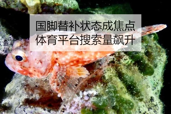 guo-jiao-ti-bu-zhuang-tai-cheng-jiao-dian-ti-yu-ping-tai-sou-suo-liang-biao-sheng-2-612.jpg